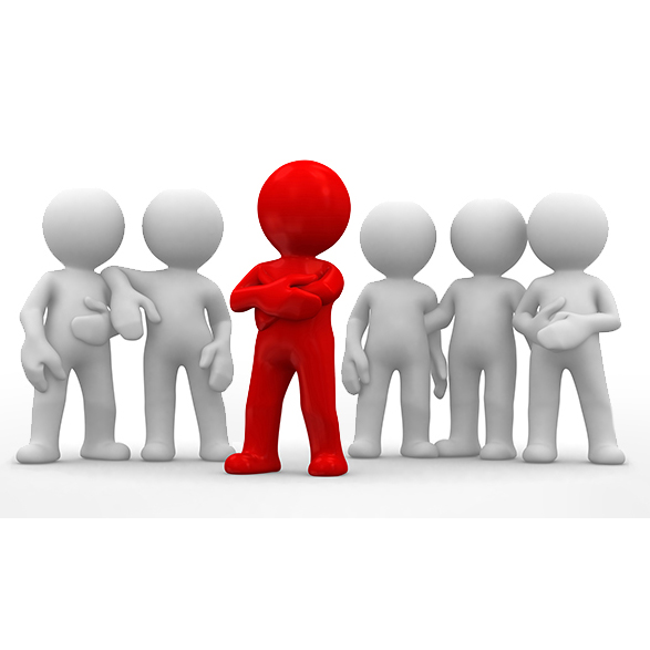 Team Member